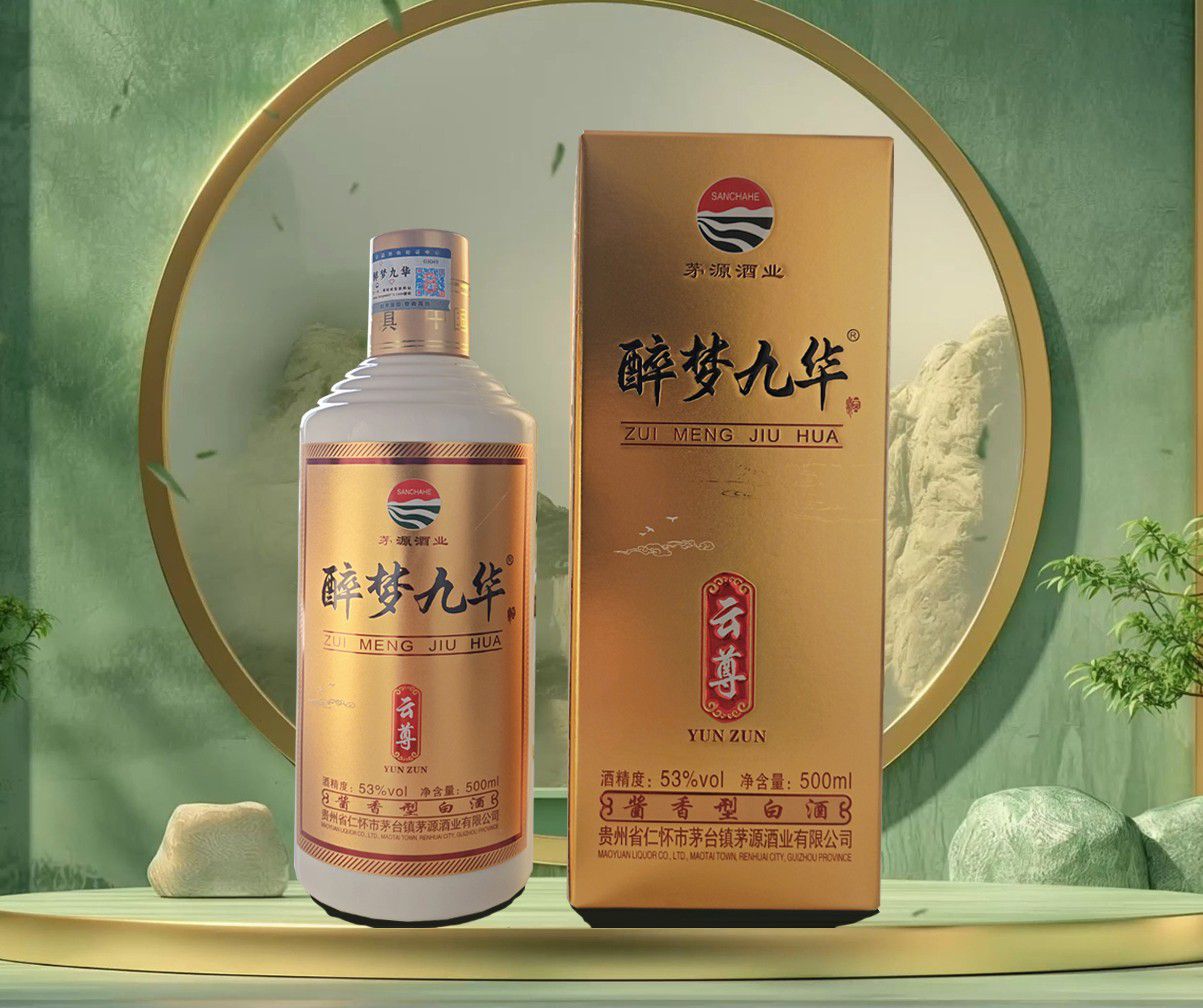 醉梦九华云尊